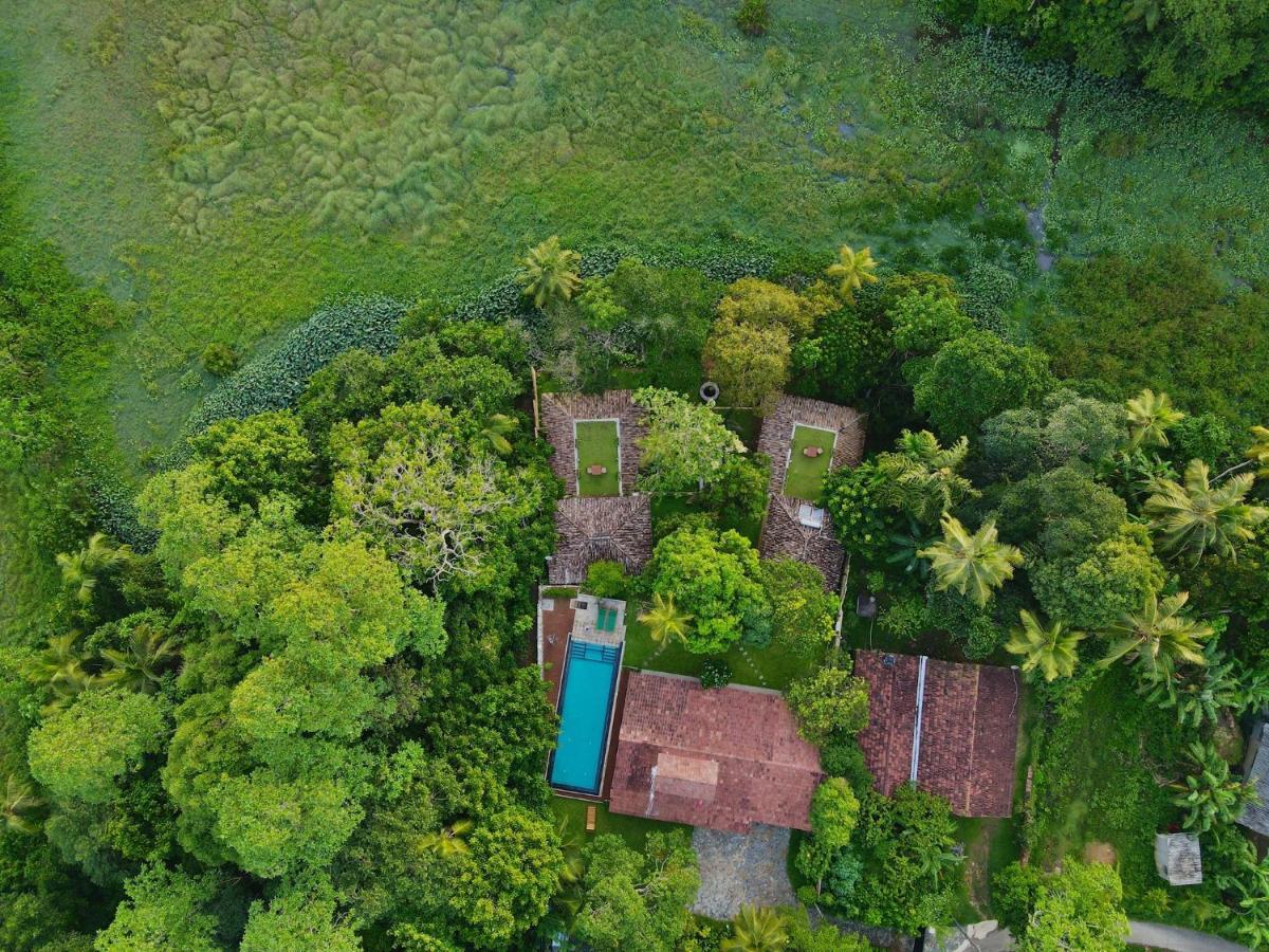 The Jungle Loft Galle Extérieur photo