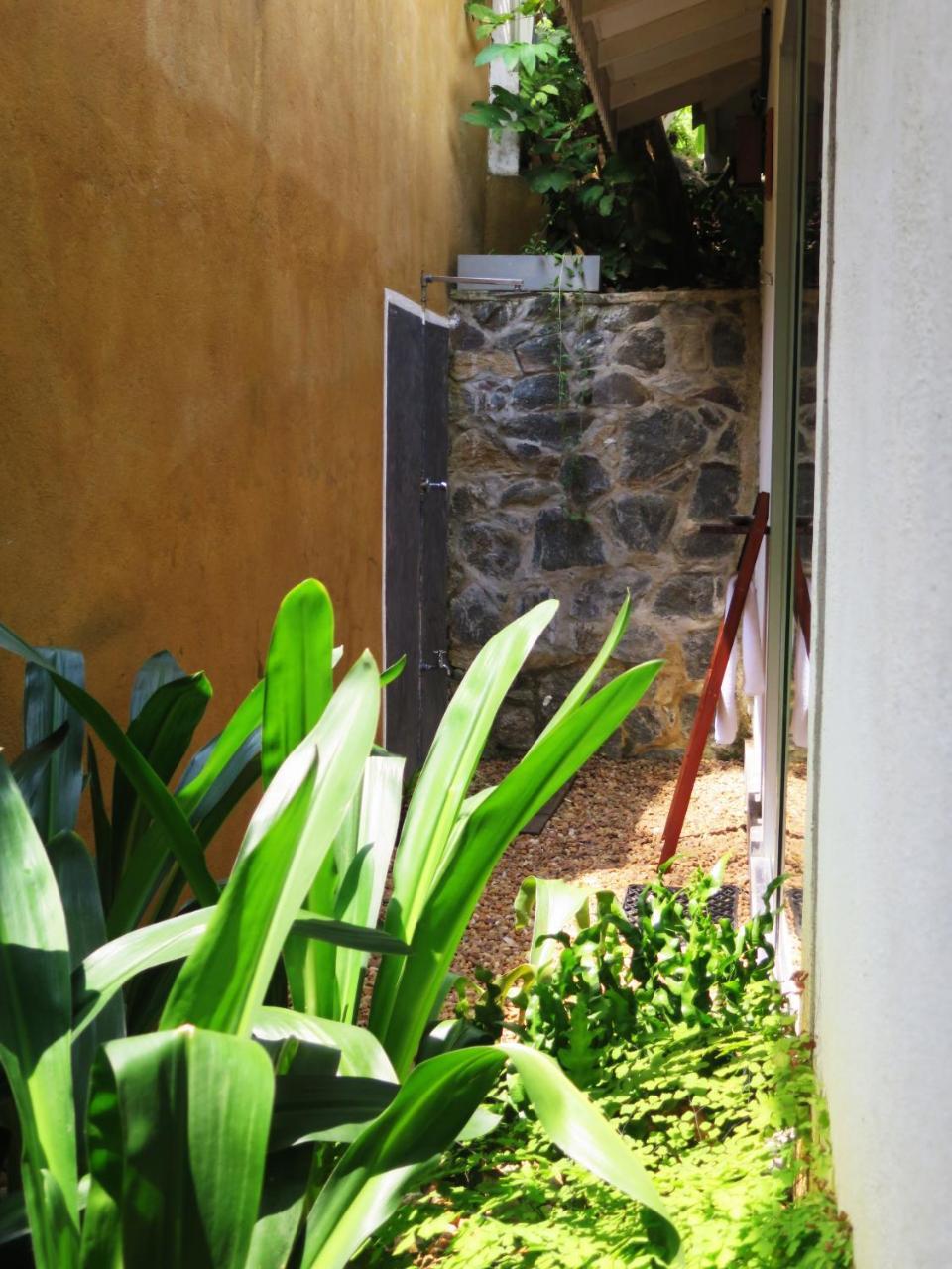 The Jungle Loft Galle Extérieur photo